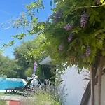 Kuca Magnolia