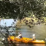 Kuca Magnolia * Благай