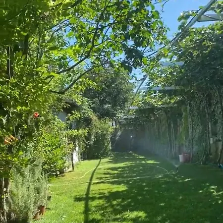 Casa vacanze Kuca Magnolia