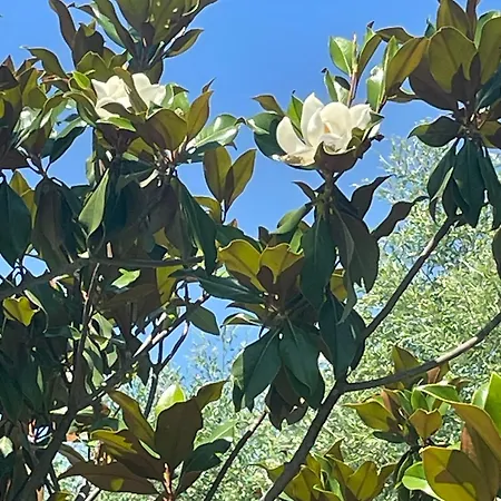 בית נופש Kuca Magnolia *