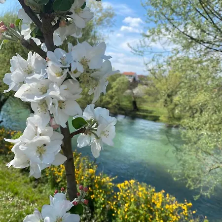 Kuca Magnolia * בלאגאי